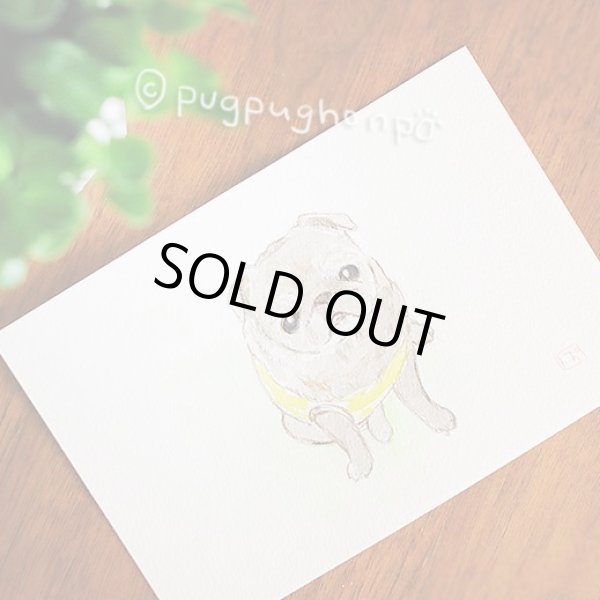 画像1: 水彩と色鉛筆のオーダー似顔絵イラスト(ハガキサイズ) (1)