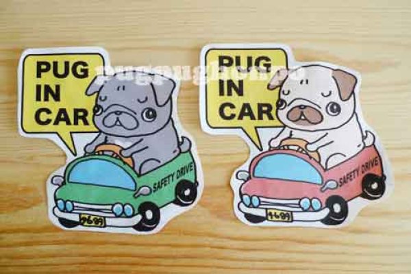 画像1: PUG IN CAR(車に乗ってるバージョン) (1)